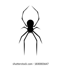 Black spider silhouette. spider icon isolated on white background