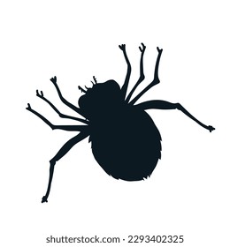Black spider silhouette for spooky prints, vector illustration isolated on white background. Stencil outline of spider for Halloween.
