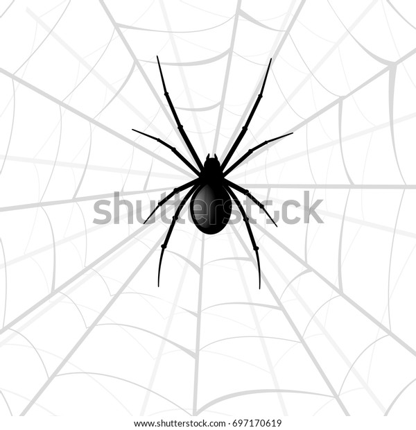 Black Spider Silhouette Vector Stock Vector Royalty Free 697170619