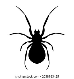 Black spider silhouette. Vector design element