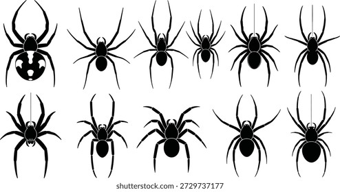 Coleção de silhuetas de aranha preta com várias formas aracnídeas, insetos rastejantes assustadores, elementos de design halloween isolados no fundo branco