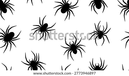 Black spider silhouettes on a white background silhouette
