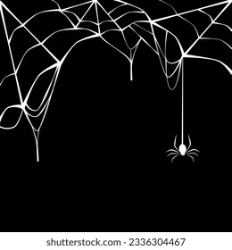 Black spider with torn web. Spider in Halloween festival. Scary spiderweb of Halloween symbol. Isolated on black background.