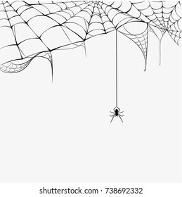 Black spider and torn web Halloween. Scary spiderweb. Isolated on white vector illustration