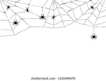 Black spider and torn web. Scary spiderweb of halloween symbol. Isolated on white vector illustration 