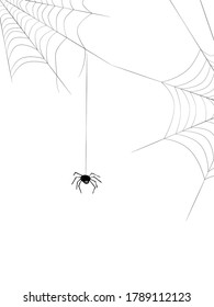 Black spider and torn web. Scary spiderweb of halloween symbol. Isolated on white. Spooky spider web for Halloween decoration. Vector illustration