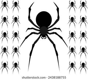 Black spider and torn web. Scary spiderweb of halloween symbol. Isolated on white vector illustration