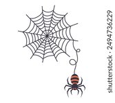 Black spider and torn web. Web weaving, halloween symbol. Isolated on white vector illustration