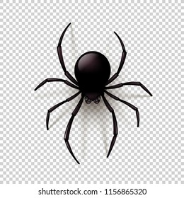 Araña negra con sombra transparente sobre un fondo a cuadros. Se puede colocar en cualquier fondo. Ilustración del vector,