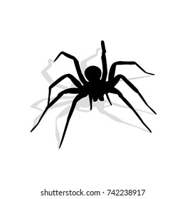 black spider vector
