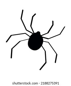 Black spider, vector illustration isolated on a white background.