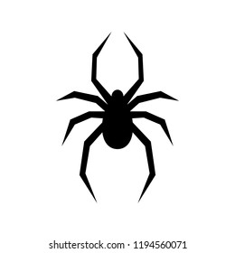 Black spider vector silhouette. Black widow isolated on white background. Flat vector illustration