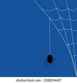Black spider with a web against the sky