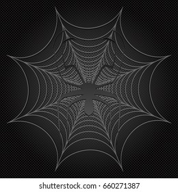 black spider and web, cobweb