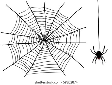 black spider and spider web isolated on the white background