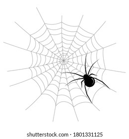 Araña negra en una tela sobre fondo blanco. Ilustración del vector