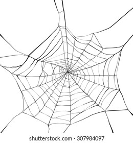 Black spider web on white background