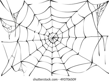 Black spider web on white background. Vector illustration