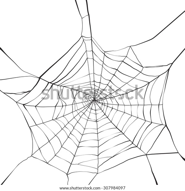 Black spider web on white\
background