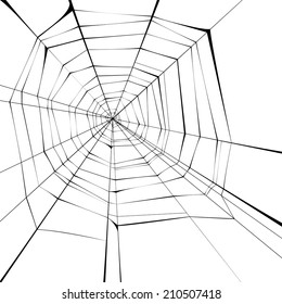 black spider web over white background