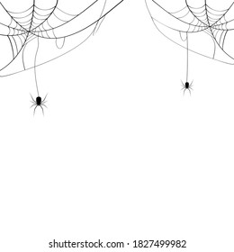 Black spider and spider web. Scary spiderweb of halloween symbol. Isolated on white background. vector illustration