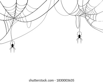 Black spider and spider web. Scary spiderweb of halloween symbol. Isolated on white background