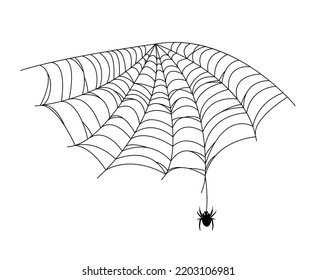 Black spider and web. Scary spiderweb of halloween . Vector illustration