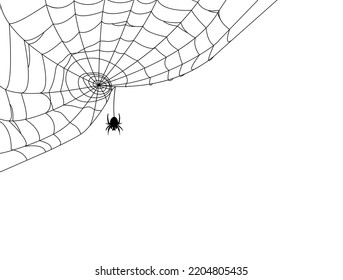Black spider and web. Scary spiderweb of halloween . Vector illustration