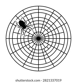 Black spider in web silhouette creepy crawly insect isolated on white background