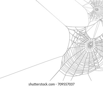 Black spider web silhouette on white vector background