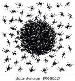 Black spiders background in the shape of a circle.  Isolated vector illustration. Follow other spiders patterns in my collection.