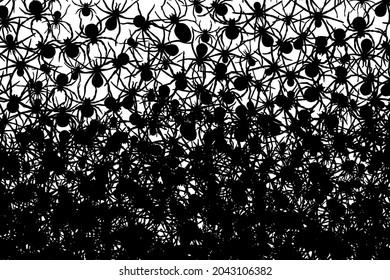 Black spiders background. Vector illustration.