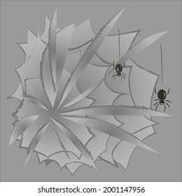 Black spiders and cobweb on a grey background. The halloween symbol. Stock vector illustration.