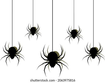Black spiders on a transparent background.
