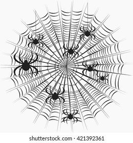 black spiders on a web pattern on a white background vector illustration