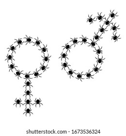 Black spiders in the shape of man and woman symbol. Black spiders pattern vector illustration. Use for posters, T-shirts, textile drawing, print pattern. Other spiders patterns in my collections.