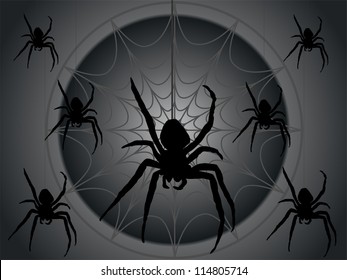 black spiders with spider web