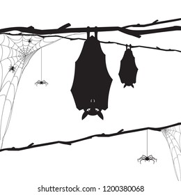 
Black spiders, spiderweb and bats