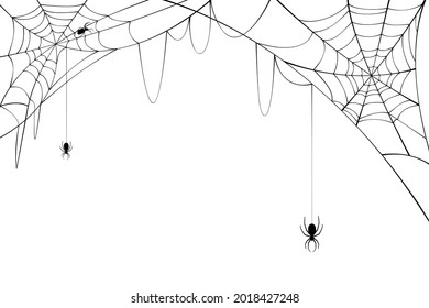 Black spiders with torn web. Scary spider web for Halloween.