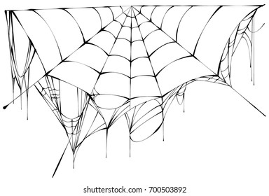 Black spiderweb on white background. Vector illustration