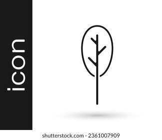 Black Spinach icon isolated on white background.  Vector