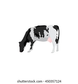 Black spotted cow. Holstein cow vector