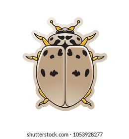 black spotted lady bird vector cartoon isolated on white background