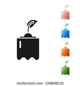 Black Sprout in bottle icon isolated on white background. Seed and seedling. Leaves sign. Leaf nature. Set icons colorful. Vector Illustration