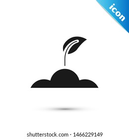 Black Sprout icon isolated on white background. Seed and seedling. Leaves sign. Leaf nature.  Vector Illustration