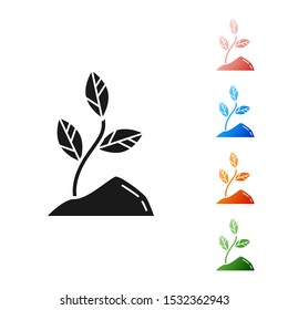 Black Sprout icon isolated on white background. Seed and seedling. Leaves sign. Leaf nature. Set icons colorful. Vector Illustration