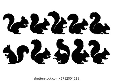 Silhuetas de esquilo preto Vários Poses animal branco