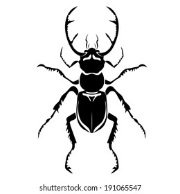 black stag beetle