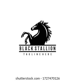 Black Stallion Beautiful Concept Elegance Horse Design Vector