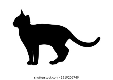 Black standing cat vector template.